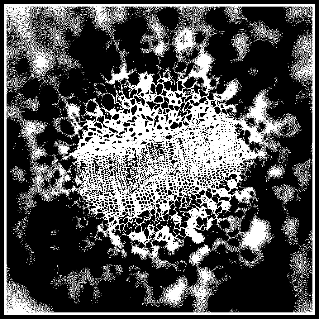 A microorganism