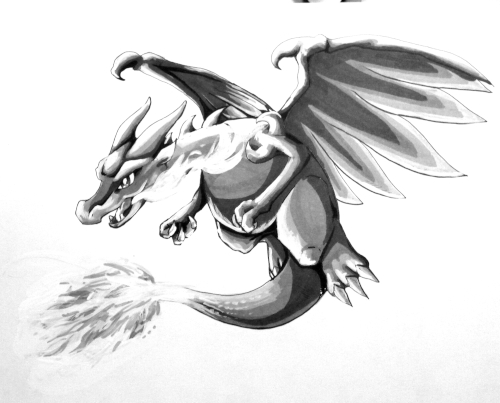 charizard X