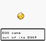 Glitch egg in Crystal hatching into another egg.